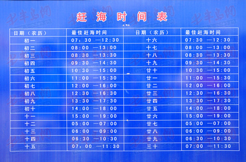 最新捞船表动态分析与更新