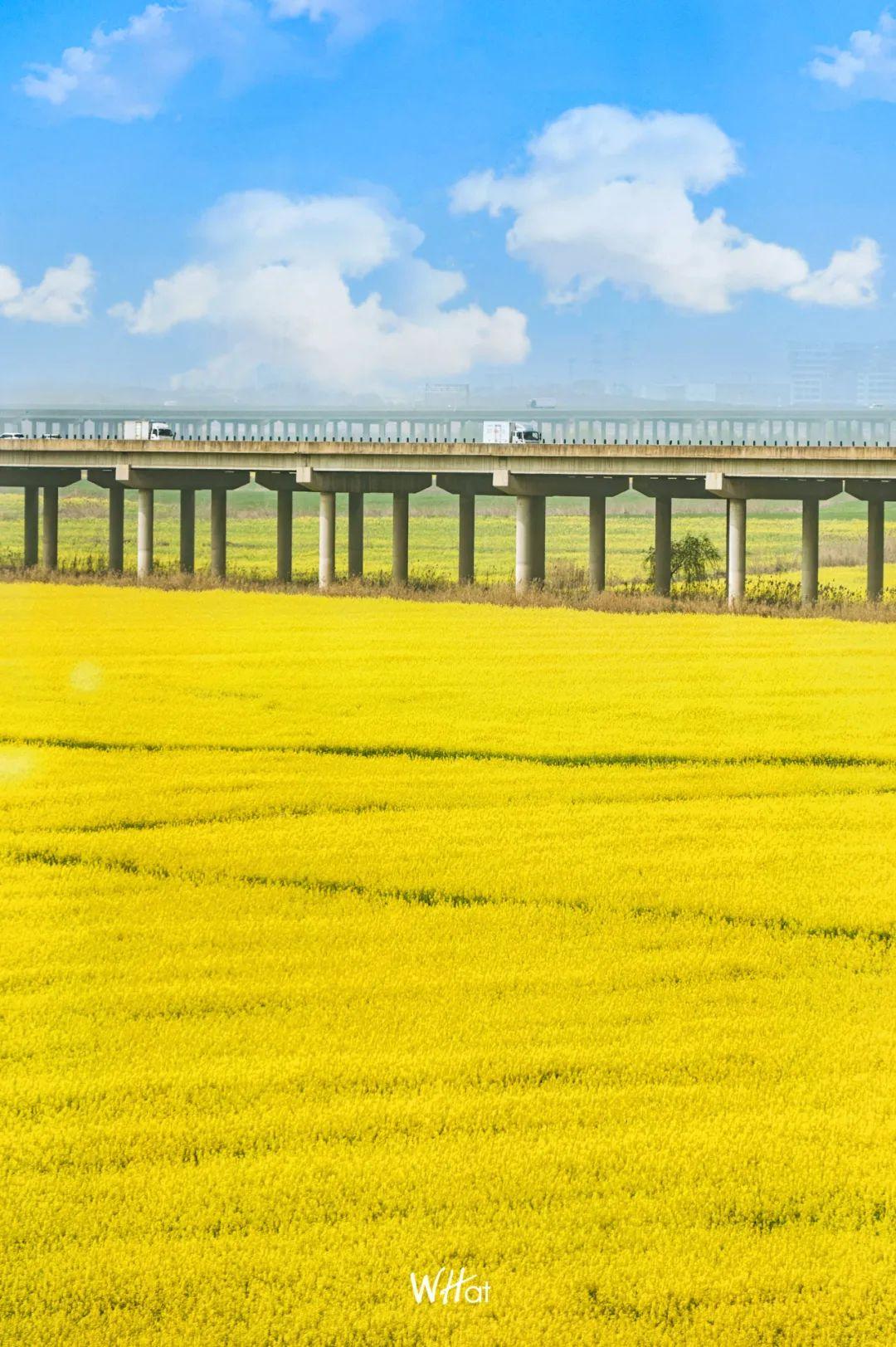 最新郊外出行时间表，规划你的自然之旅探索之旅