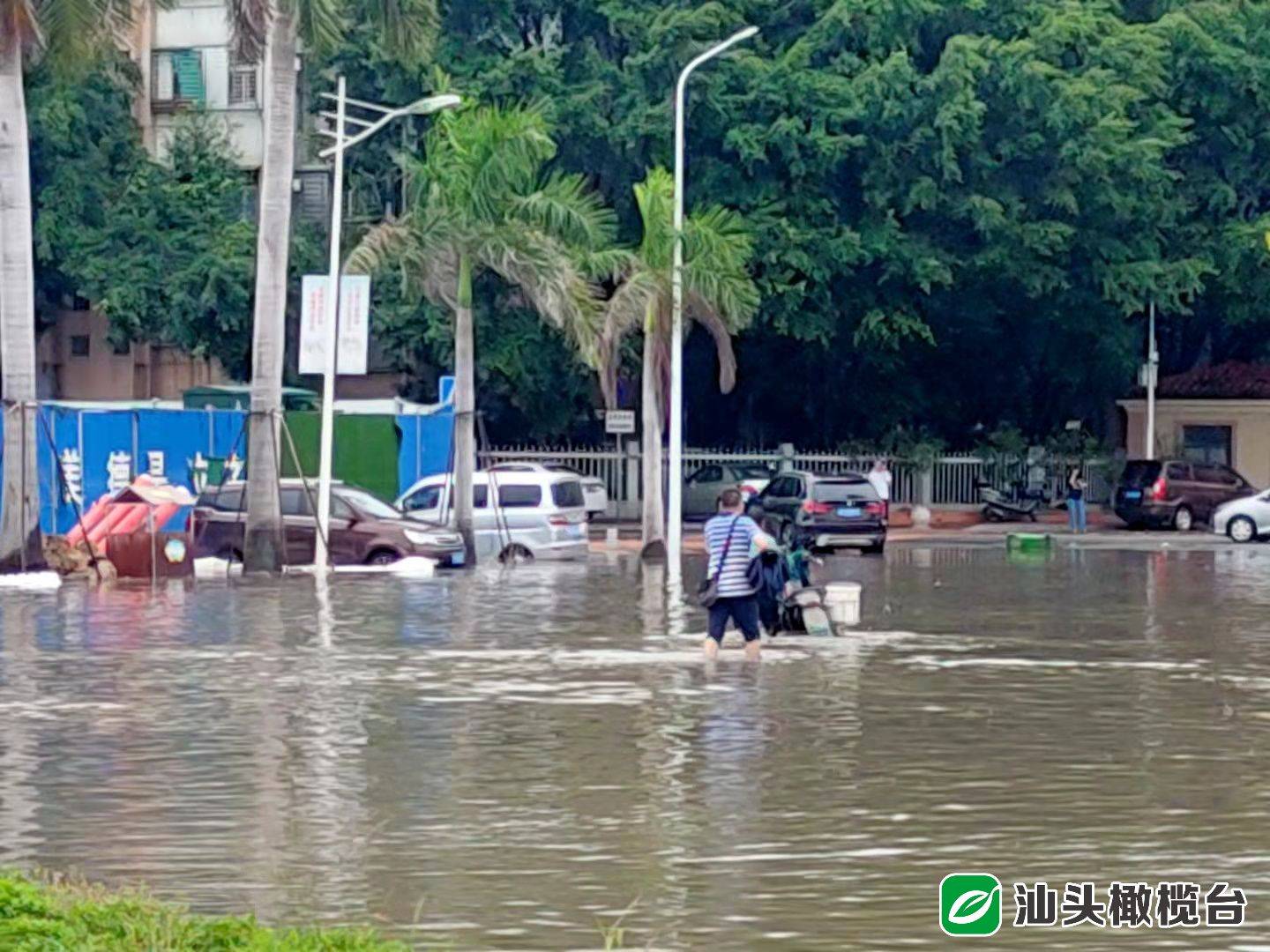 广东汕头台风最新动态，逆风中的力量与自信之光闪耀大地